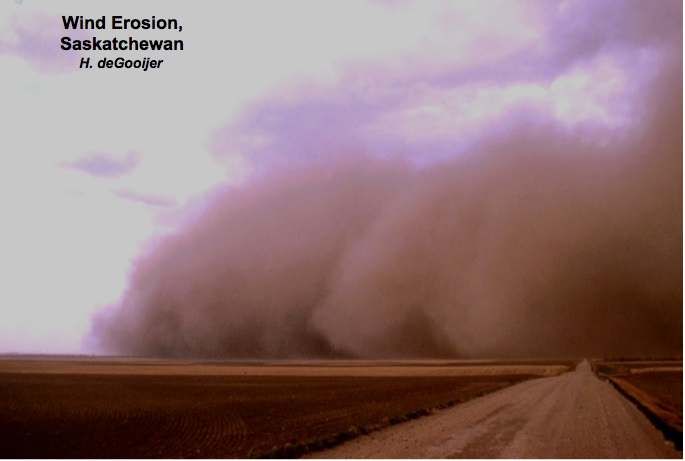 Wind Erosion